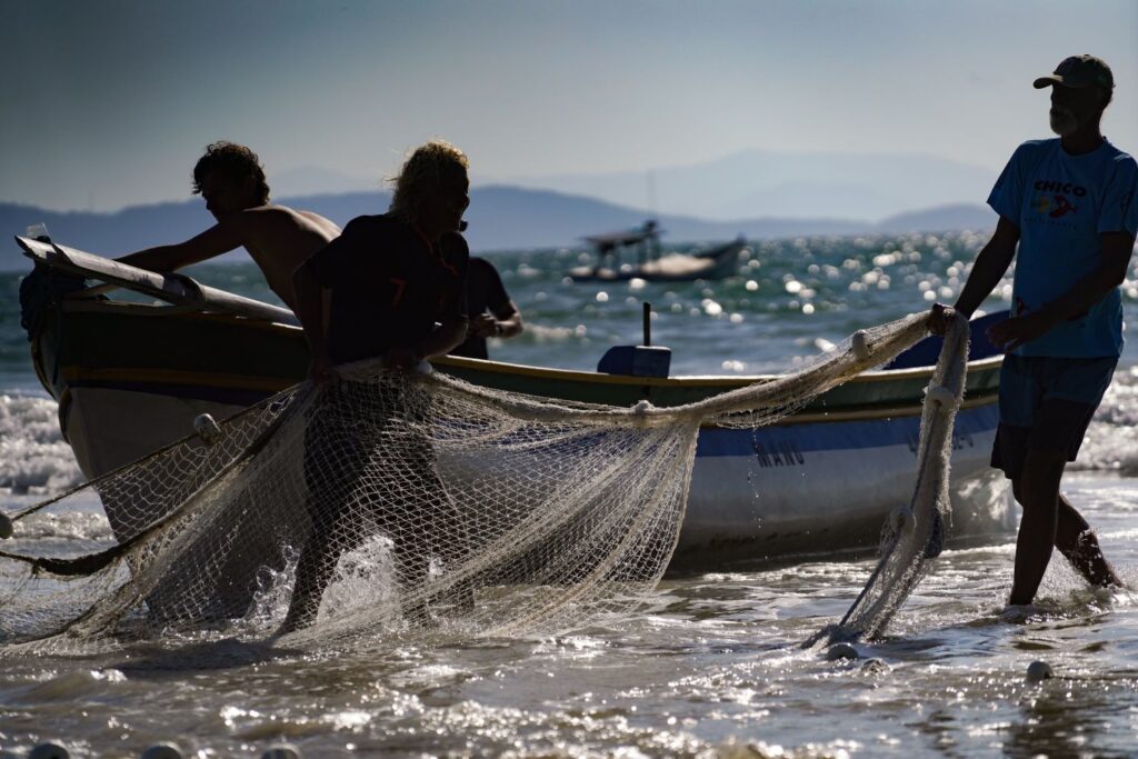 Santa Catarina conquista ampliação da cota de pesca de arrasto de praia em 100 toneladas