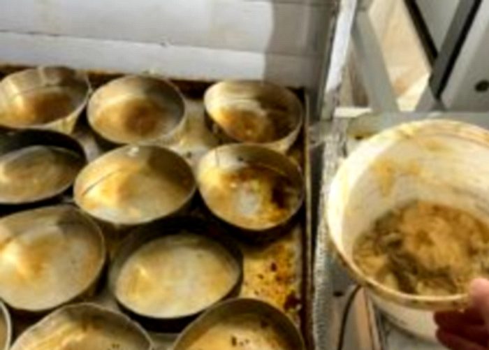 Vigilância Sanitária fiscaliza padarias em Camboriú para garantir segurança alimentar