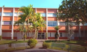 SIGNIS Brasil realiza Assembleia Geral e reúne setor da comunicação católica para definir rumos do triênio 2026–2028