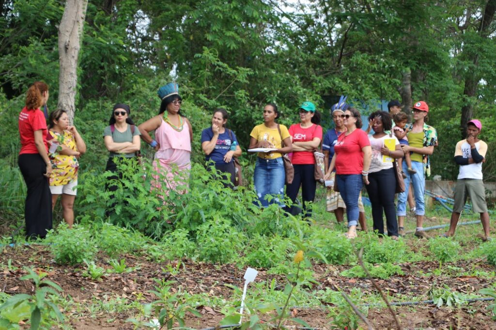 CNBB apoiou, em 2025, 234 projetos de Ecologia Integral com R$ 7 milhões