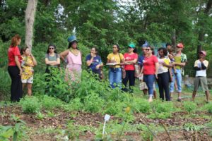 CNBB apoiou, em 2025, 234 projetos de Ecologia Integral com R$ 7 milhões